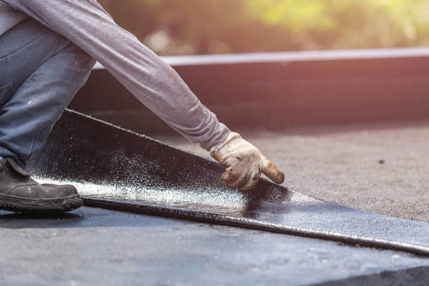 Professional Interior Drainage System technician working in Chase, KS